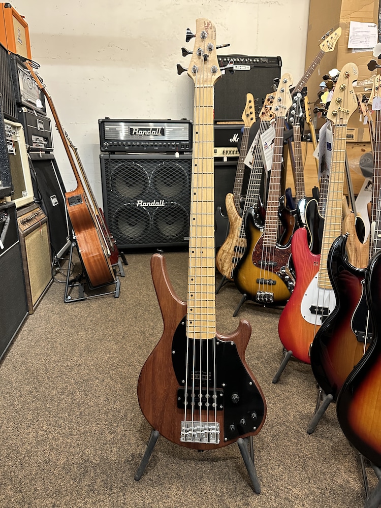 Basse 5 cordes Patrick Blanc