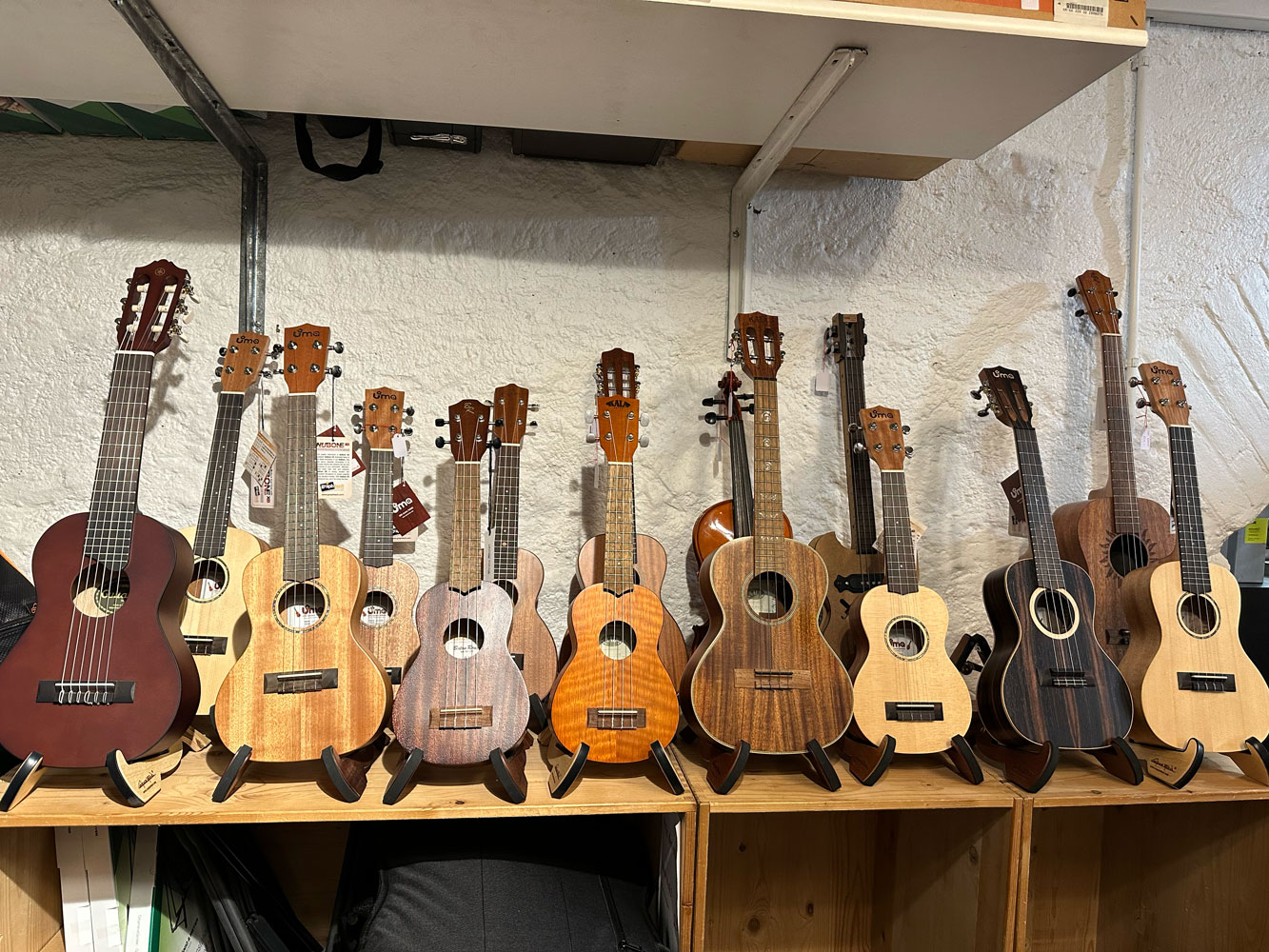 Les autres instruments : ukulélé, etc